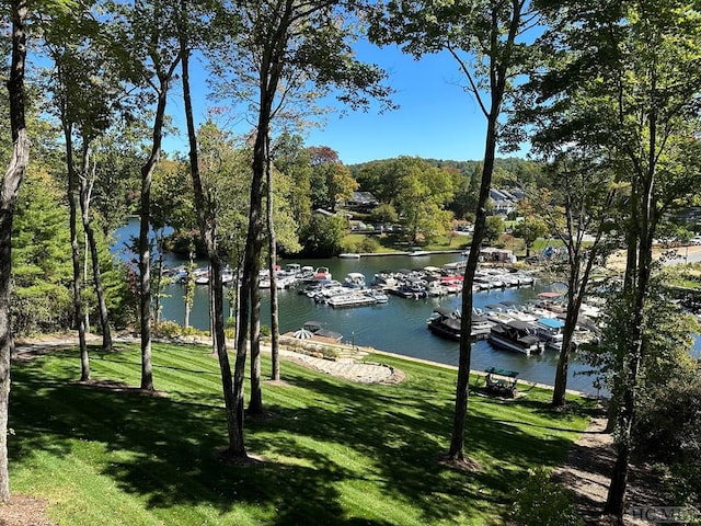 view of water feature with a dock