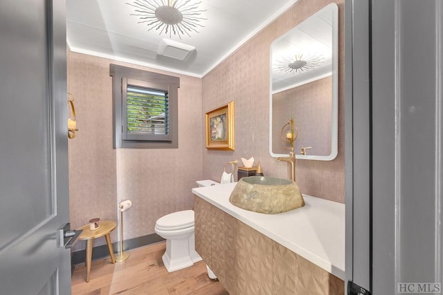 bathroom featuring wood-type flooring, vanity, and toilet