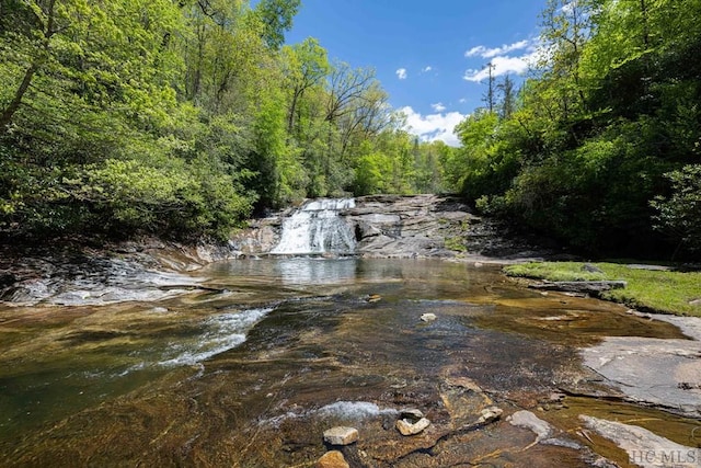 property view of water featuring a wooded view