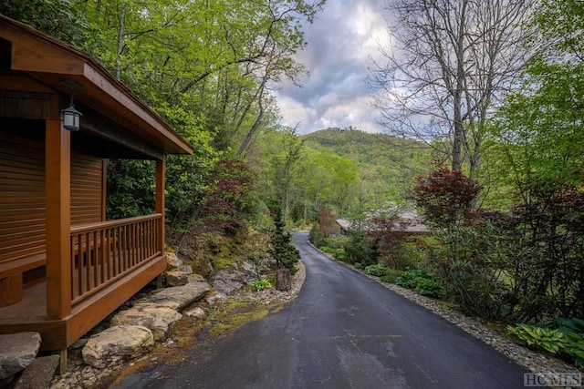 view of road featuring a view of trees