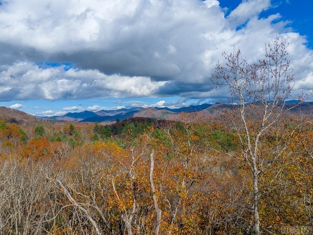 property view of mountains