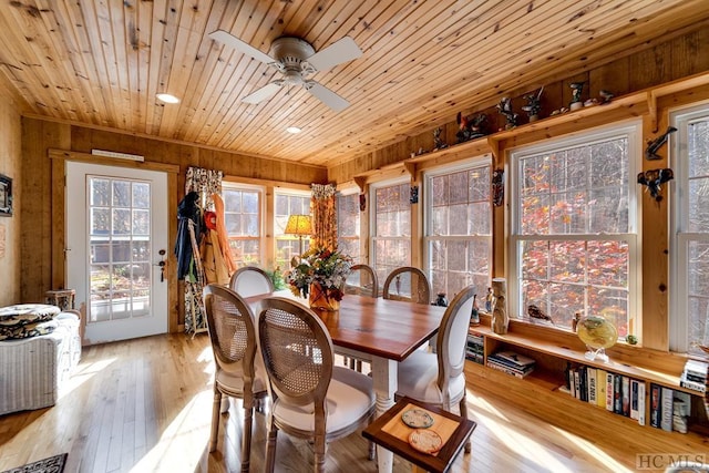 dining space featuring light wood-type flooring, ceiling fan, wooden ceiling, and wooden walls