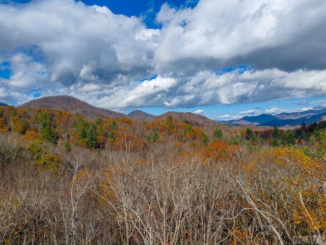 view of mountain feature