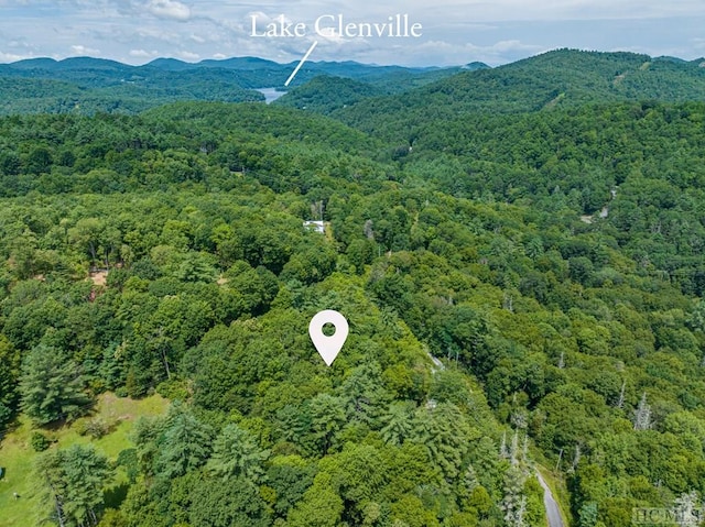 Listing photo 2 for Lot7 Tall Cedars, Glenville NC 28736