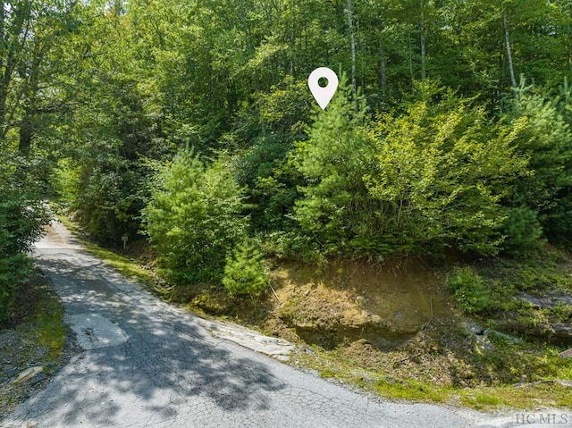 Listing photo 3 for Lot7 Tall Cedars, Glenville NC 28736