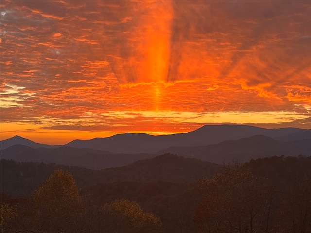 mountain view