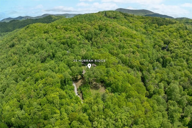 bird's eye view of a heavily wooded area and mountains