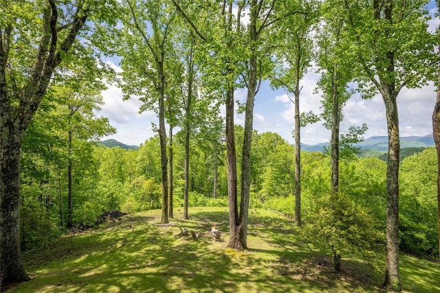 view of wooded area with a mountain view