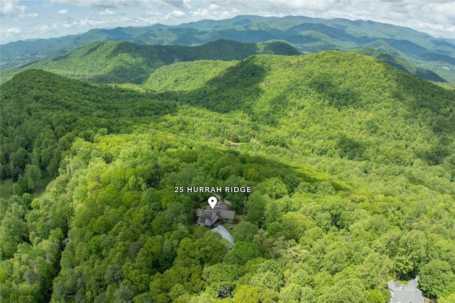 view of mountain background featuring a heavily wooded area