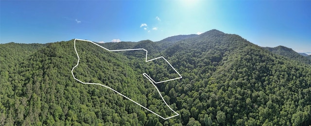 3871 Dicks Creek Rd, Whittier, NC 28789 - photo 2