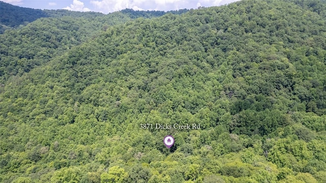 3871 Dicks Creek Rd, Whittier, NC 28789 - photo 3