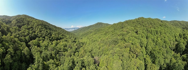 3871 Dicks Creek Rd, Whittier, NC 28789 - photo 11