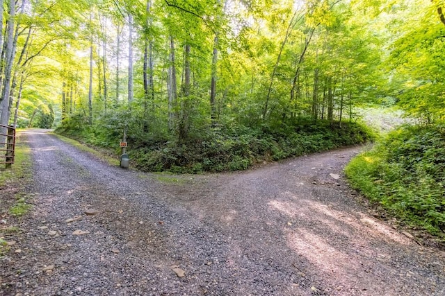 3871 Dicks Creek Rd, Whittier, NC 28789 - photo 22