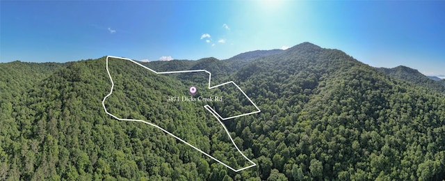 3871 Dicks Creek Rd, Whittier, NC 28789 - photo 8