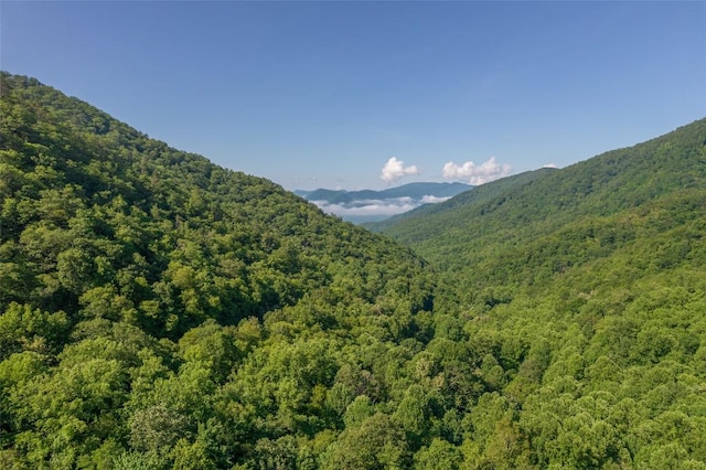 3871 Dicks Creek Rd, Whittier, NC 28789 - photo 15