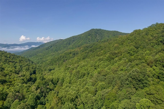 3871 Dicks Creek Rd, Whittier, NC 28789 - photo 13