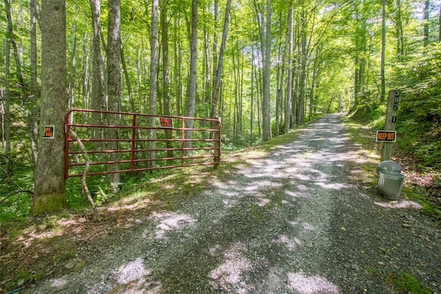 3871 Dicks Creek Rd, Whittier, NC 28789 - photo 25