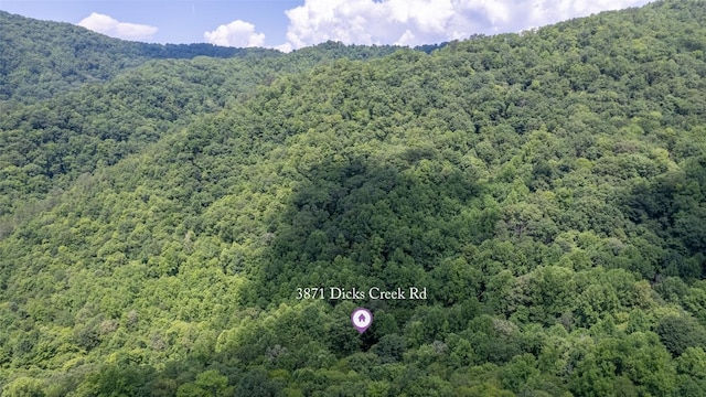 3871 Dicks Creek Rd, Whittier, NC 28789 - photo 6
