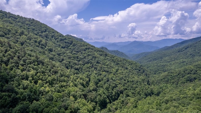 3871 Dicks Creek Rd, Whittier, NC 28789 - photo 5