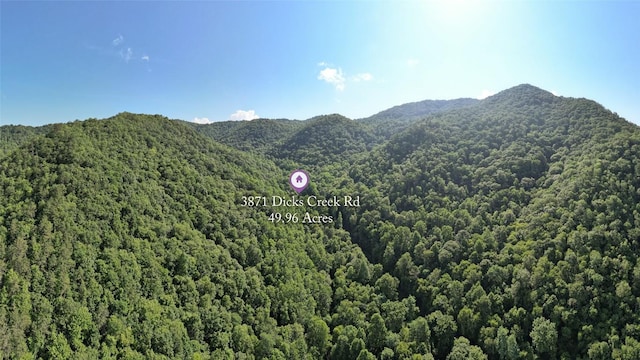 3871 Dicks Creek Rd, Whittier, NC 28789 - photo 9
