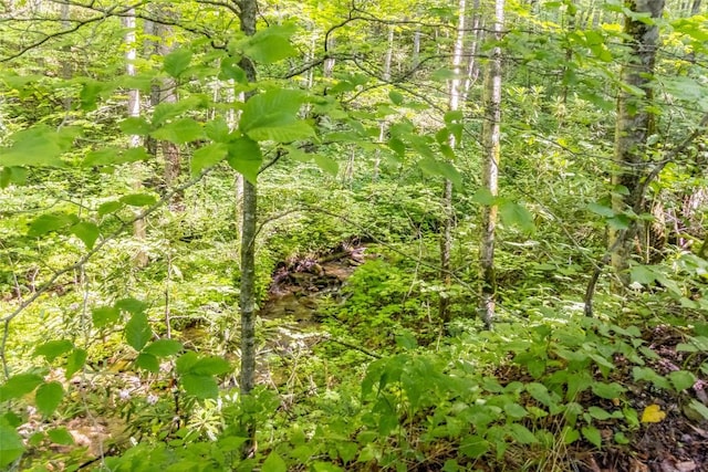 3871 Dicks Creek Rd, Whittier, NC 28789 - photo 20