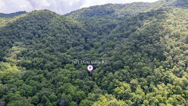 3871 Dicks Creek Rd, Whittier, NC 28789 - photo 4