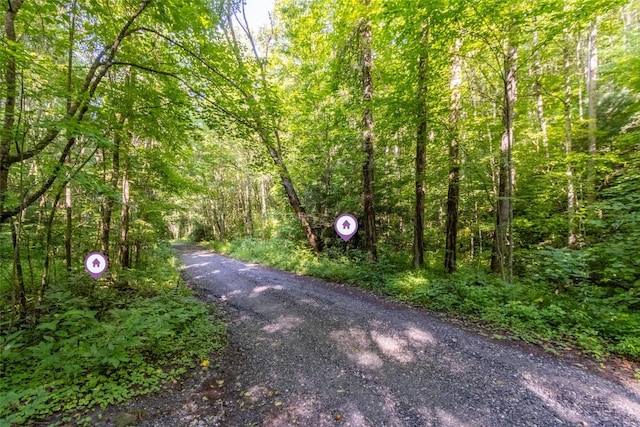 3871 Dicks Creek Rd, Whittier, NC 28789 - photo 33