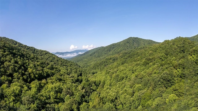 3871 Dicks Creek Rd, Whittier, NC 28789 - photo 14