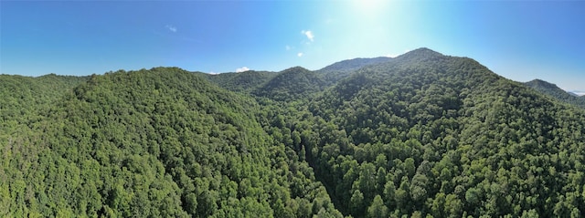 3871 Dicks Creek Rd, Whittier, NC 28789 - photo 7