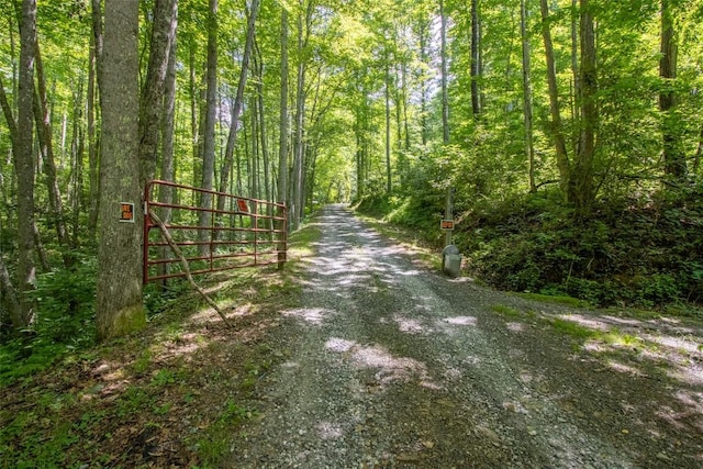 3871 Dicks Creek Rd, Whittier, NC 28789 - photo 29