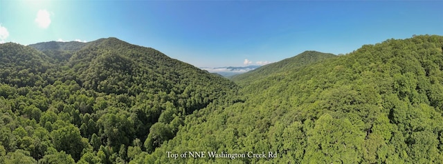 3871 Dicks Creek Rd, Whittier, NC 28789 - photo 12
