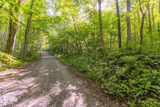 3871 Dicks Creek Rd, Whittier, NC 28789 - photo 18