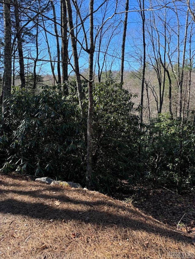 Listing photo 3 for 99999 Lake Osseroga Dr, Highlands NC 28741