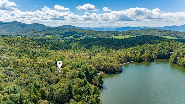 214 Osage Dr, Scaly Mountain, NC 28775 - photo 39