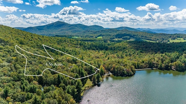 214 Osage Dr, Scaly Mountain, NC 28775 - photo 18