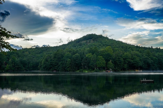 214 Osage Dr, Scaly Mountain, NC 28775 - photo 15