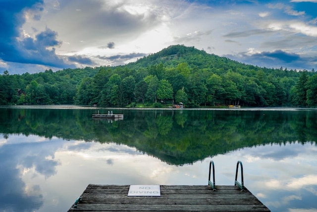 214 Osage Dr, Scaly Mountain, NC 28775 - photo 42