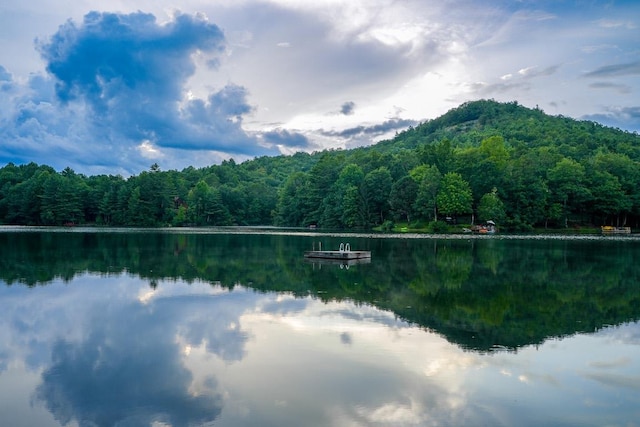 214 Osage Dr, Scaly Mountain, NC 28775 - photo 2