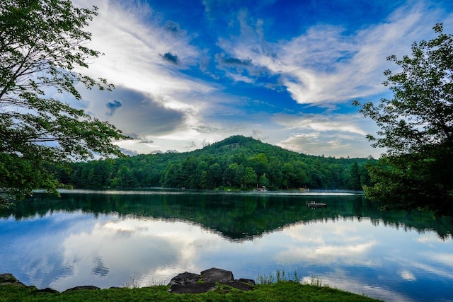214 Osage Dr, Scaly Mountain, NC 28775 - photo 17
