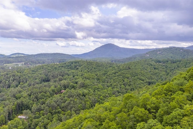 1292 Big Sheepcliff Rd, Cashiers, NC 28717 - photo 47