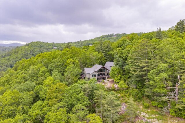 1292 Big Sheepcliff Rd, Cashiers, NC 28717 - photo 46