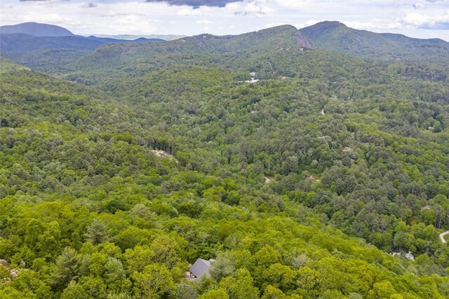 1292 Big Sheepcliff Rd, Cashiers, NC 28717 - photo 49