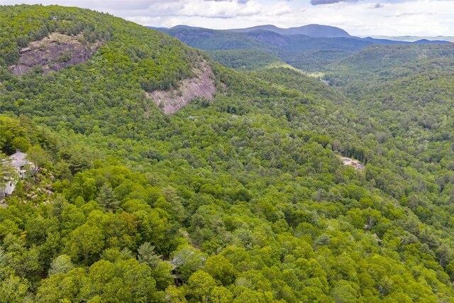 1292 Big Sheepcliff Rd, Cashiers, NC 28717 - photo 50