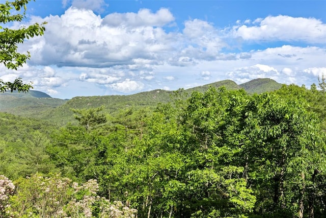 1292 Big Sheepcliff Rd, Cashiers, NC 28717 - photo 2