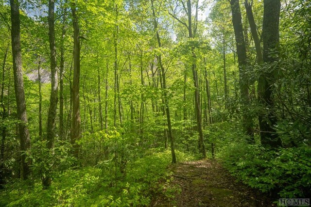 LOT45 E Valley Dr, Sapphire, NC 28774