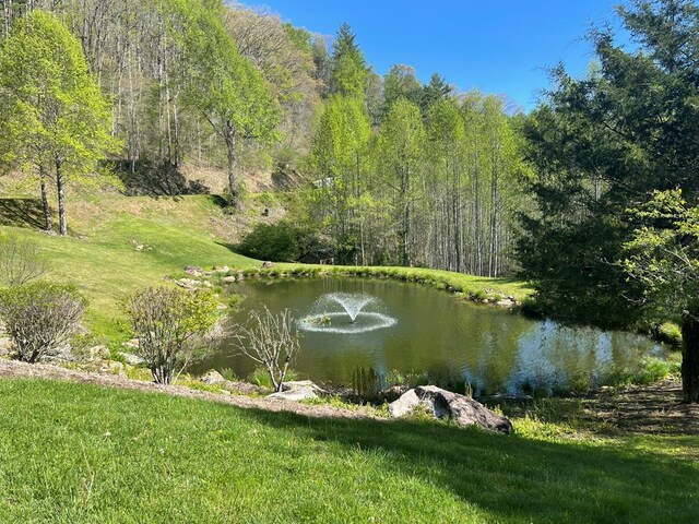 45 Boulder Creek Ln, Tuckasegee, NC 28783 - water view with a forest