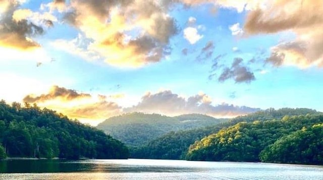 45 Boulder Creek Ln, Tuckasegee, NC 28783 - water view featuring a forest