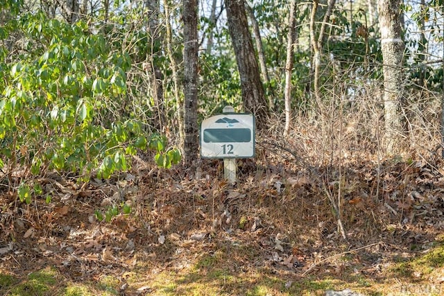 Listing photo 3 for LOT12 W Rochester Dr, Cashiers NC 28717