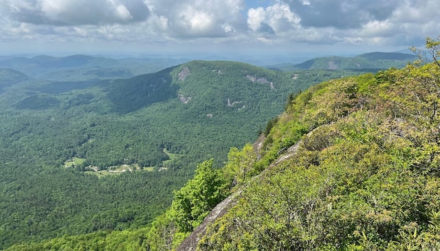 mountain view with a heavily wooded area