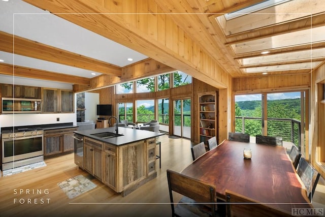 kitchen with wooden walls, a skylight, an island with sink, sink, and stainless steel appliances